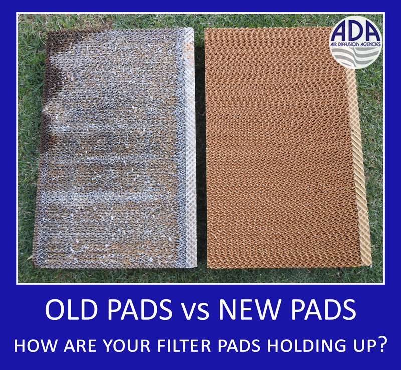 Do your Filter Pads need changing?