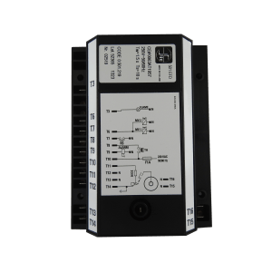 Bonaire Ignitor Module
